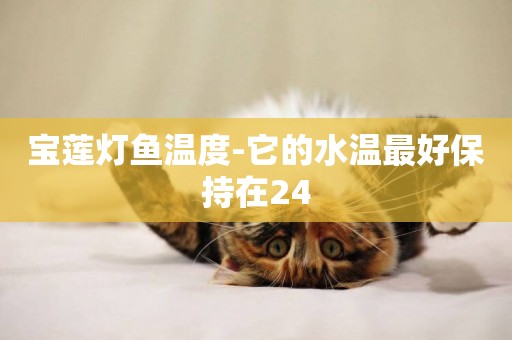 寶蓮燈魚溫度-它的水溫最好保持在24