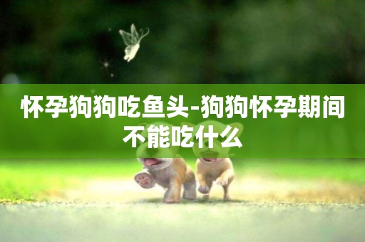 懷孕狗狗吃魚頭-狗狗懷孕期間不能吃什么