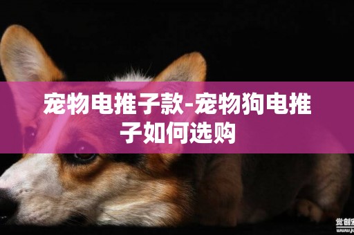 寵物電推子款-寵物狗電推子如何選購