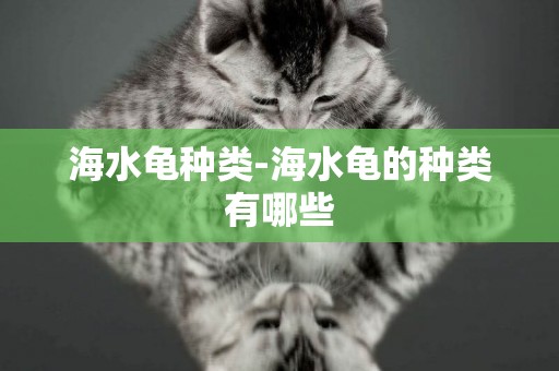 海水龜種類-海水龜的種類有哪些