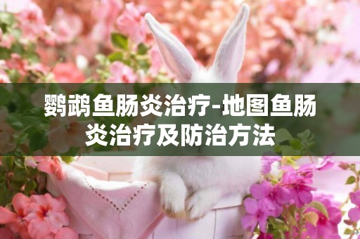 鸚鵡魚腸炎治療-地圖魚腸炎治療及防治方法