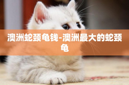 澳洲蛇頸龜錢-澳洲最大的蛇頸龜