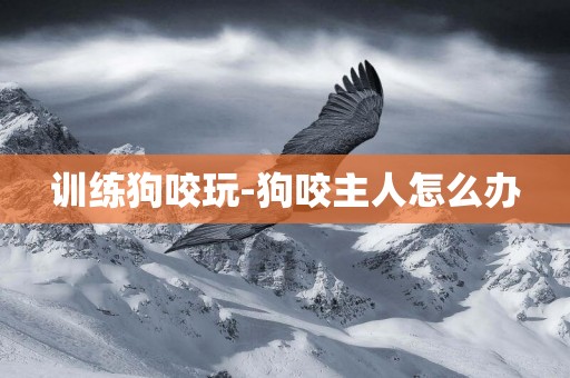 訓練狗咬玩-狗咬主人怎么辦