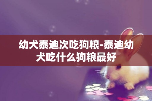 幼犬泰迪次吃狗糧-泰迪幼犬吃什么狗糧最好