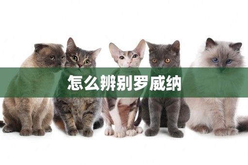 怎么辨別羅威納