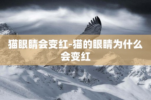 貓眼睛會變紅-貓的眼睛為什么會變紅