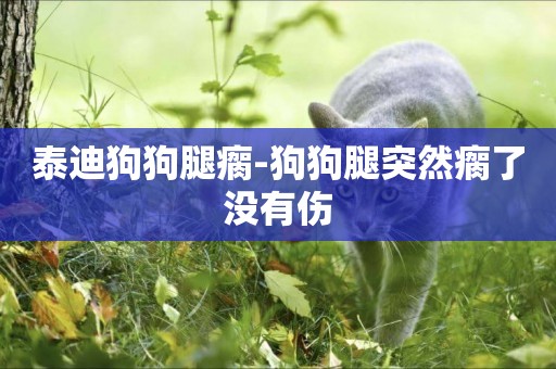 泰迪狗狗腿瘸-狗狗腿突然瘸了沒有傷