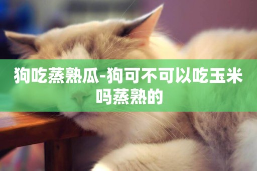 狗吃蒸熟瓜-狗可不可以吃玉米嗎蒸熟的