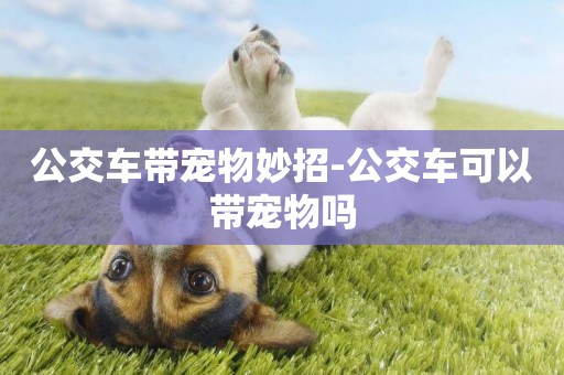 公交車帶寵物妙招-公交車可以帶寵物嗎