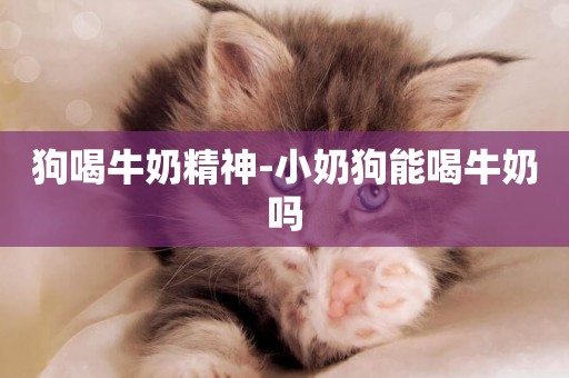 狗喝牛奶精神-小奶狗能喝牛奶嗎