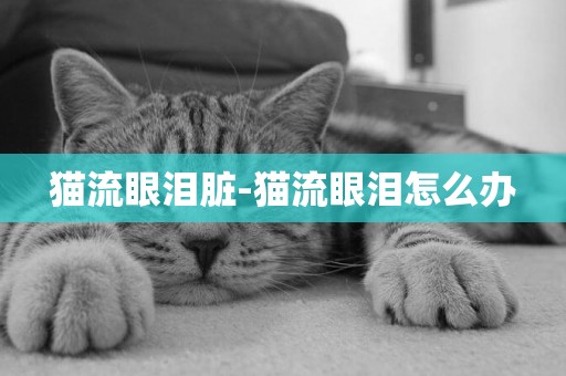 貓流眼淚臟-貓流眼淚怎么辦