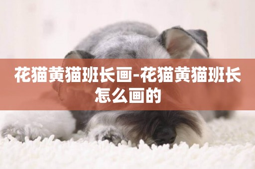 花貓黃貓班長畫-花貓黃貓班長怎么畫的