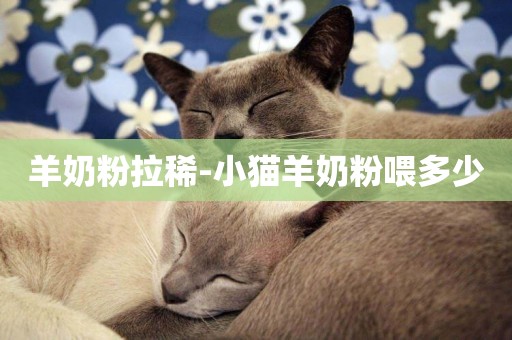 羊奶粉拉稀-小貓羊奶粉喂多少