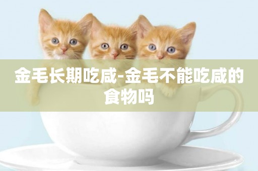 金毛長期吃咸-金毛不能吃咸的食物嗎