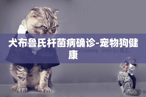 犬布魯氏桿菌病確診-寵物狗健康