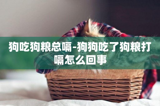 狗吃狗糧總嗝-狗狗吃了狗糧打嗝怎么回事
