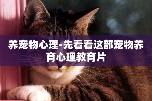 養寵物心理-先看看這部寵物養育心理教育片
