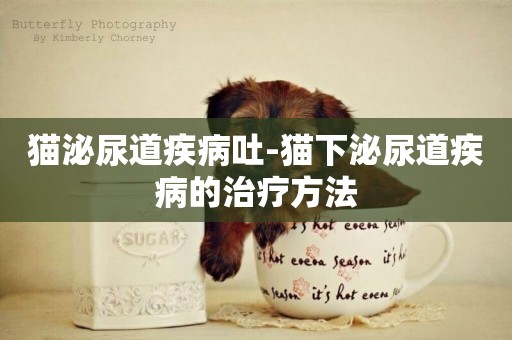 貓泌尿道疾病吐-貓下泌尿道疾病的治療方法