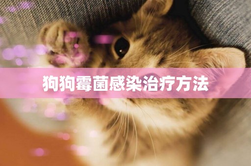 狗狗霉菌感染治療方法