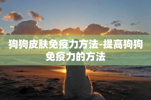 狗狗皮膚免疫力方法-提高狗狗免疫力的方法