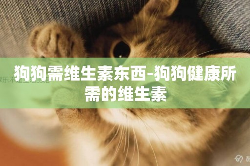 狗狗需維生素東西-狗狗健康所需的維生素