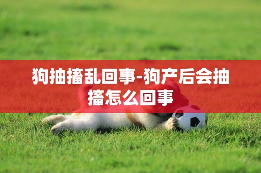 狗抽搐亂回事-狗產后會抽搐怎么回事