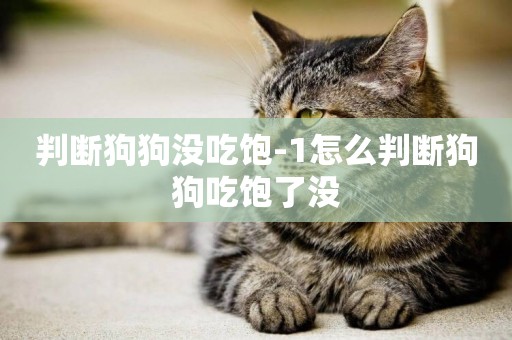 判斷狗狗沒吃飽-1怎么判斷狗狗吃飽了沒