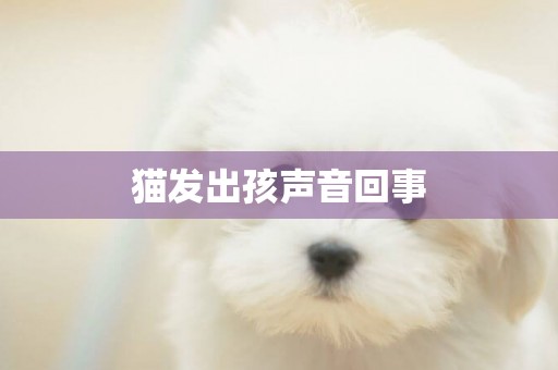 貓發出孩聲音回事