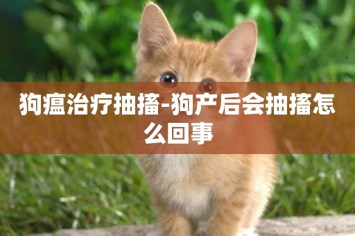 狗瘟治療抽搐-狗產后會抽搐怎么回事