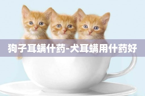 狗子耳螨什藥-犬耳螨用什藥好