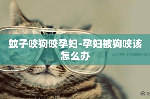 蚊子咬狗咬孕婦-孕婦被狗咬該怎么辦