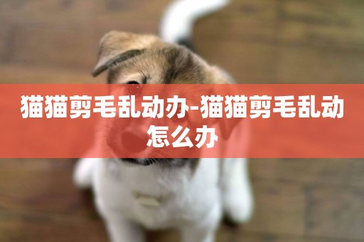 貓貓剪毛亂動辦-貓貓剪毛亂動怎么辦