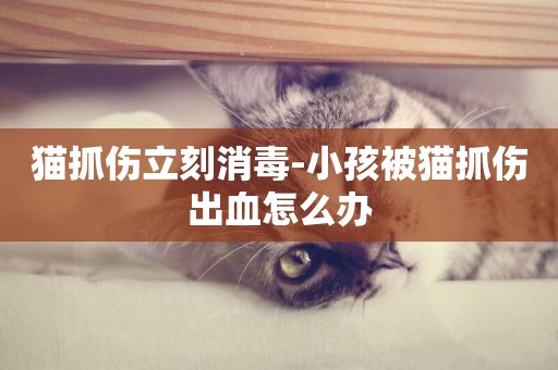 貓抓傷立刻消毒-小孩被貓抓傷出血怎么辦