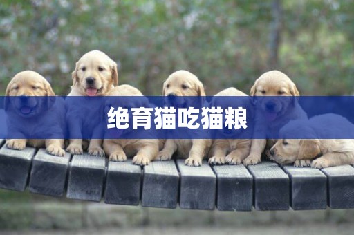 絕育貓吃貓糧