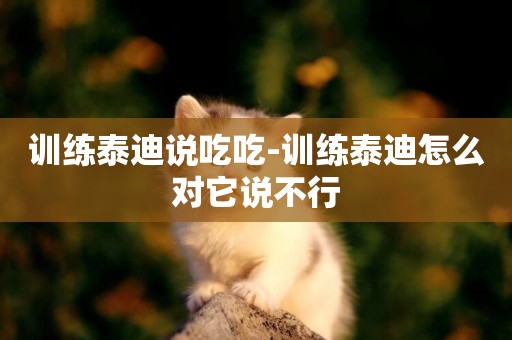 訓練泰迪說吃吃-訓練泰迪怎么對它說不行