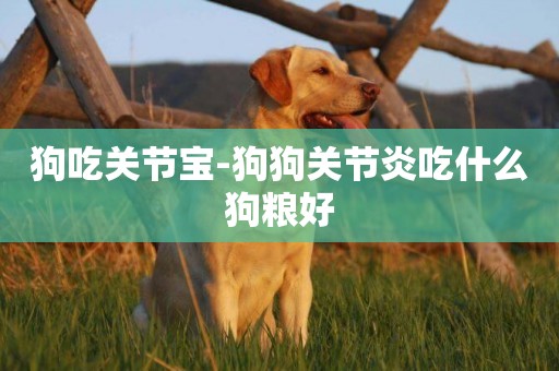 狗吃關節寶-狗狗關節炎吃什么狗糧好