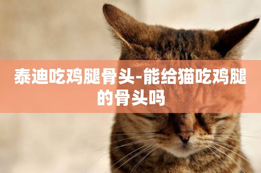 泰迪吃雞腿骨頭-能給貓吃雞腿的骨頭嗎