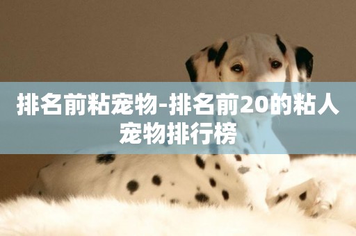 排名前粘寵物-排名前20的粘人寵物排行榜