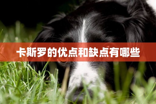 卡斯羅的優點和缺點有哪些