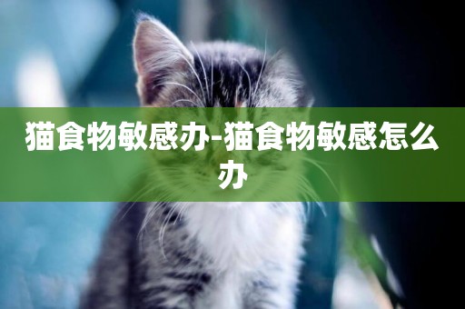 貓食物敏感辦-貓食物敏感怎么辦