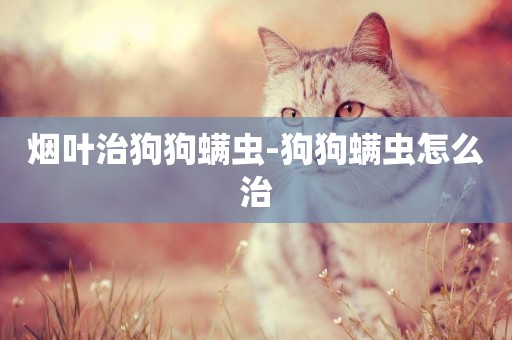 煙葉治狗狗螨蟲-狗狗螨蟲怎么治