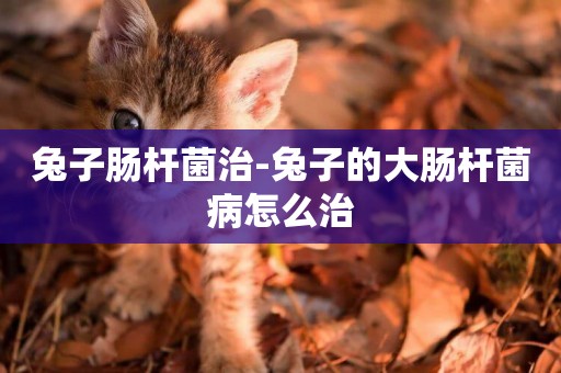 兔子腸桿菌治-兔子的大腸桿菌病怎么治