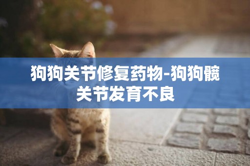 狗狗關節修復藥物-狗狗髖關節發育不良