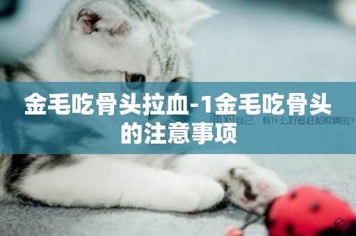 金毛吃骨頭拉血-1金毛吃骨頭的注意事項