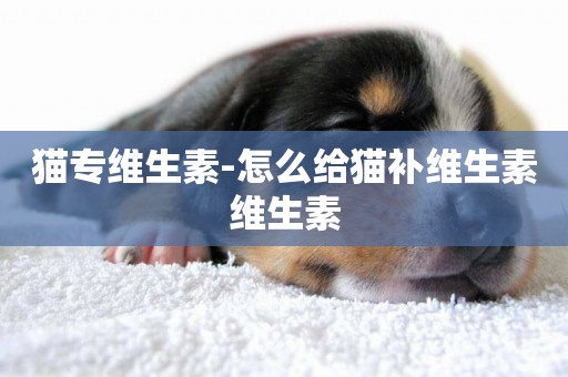 貓專維生素-怎么給貓補維生素維生素