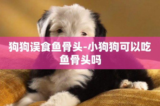 狗狗誤食魚骨頭-小狗狗可以吃魚骨頭嗎