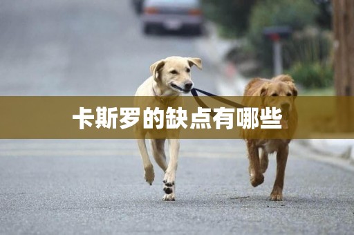 卡斯羅的缺點有哪些