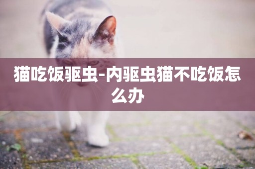 貓吃飯驅蟲-內驅蟲貓不吃飯怎么辦