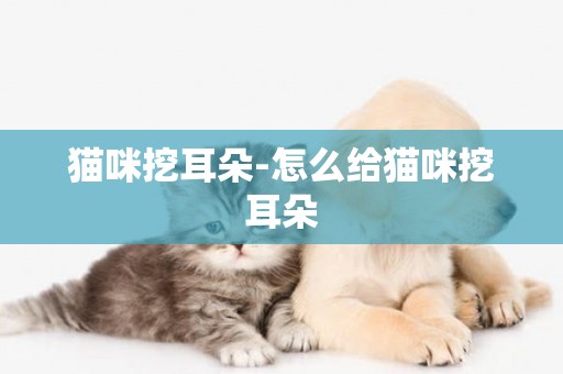 貓咪挖耳朵-怎么給貓咪挖耳朵