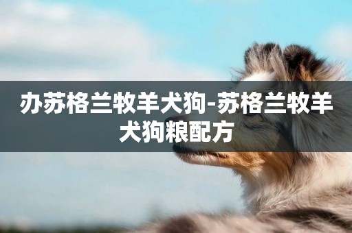 辦蘇格蘭牧羊犬狗-蘇格蘭牧羊犬狗糧配方